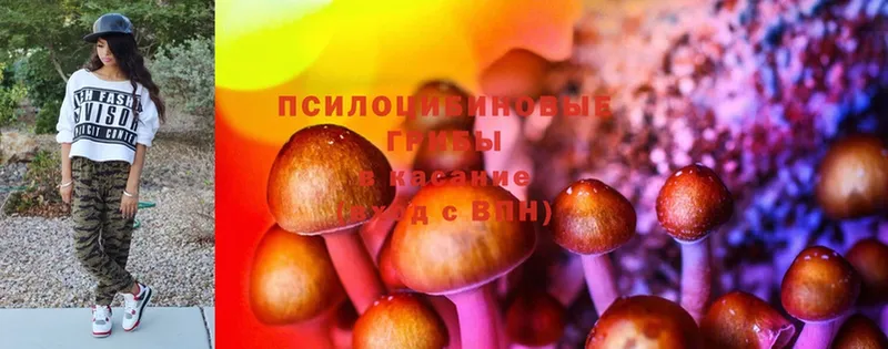 Галлюциногенные грибы MAGIC MUSHROOMS  Нижнекамск 